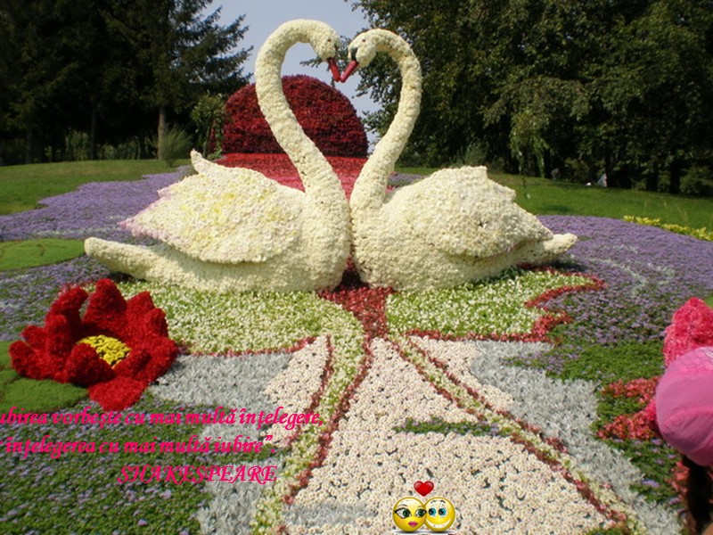 “Iubirea vorbeşte cu mai multă înţelegere,  iar înţelegerea cu mai multă iubire”. 